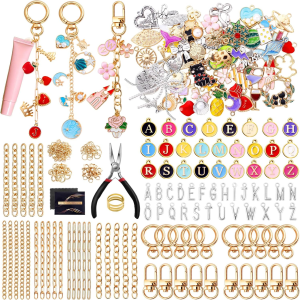 325Pcs Charms Lip Gloss Keychain Making Kit Including 20 Keychain Clips 25 Extender Chain 118 Charms Jewelry Plier Bag Charm K