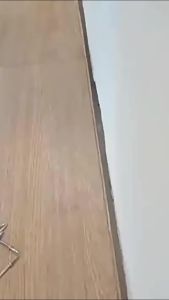 Missyou ตะปูสองหัว ไร้รอยต่อ พร้อมปลอกเกลียว แข็งแรงสูง กันสนิม สําหรับยึดไม้ โลหะ 100/50 ชิ้น Double Head Nails