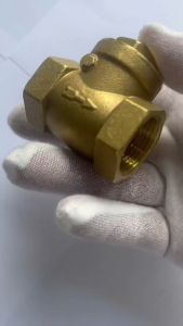 Heavy Duty Female Thread Brass Non-return Swing Check Valve Prevent Water Backflow