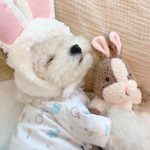 Adorable Rabbit Squirrel Pet Toy Ins New Style Voice Producing Pet Toys Cute Animal Shaped Sleeping Companion for Cats And Dogs