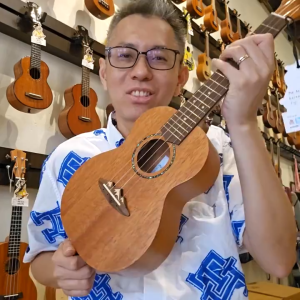 TODO Solid Spruce/ Mahogany Top 23 Inch Concert / 26 Inch Tenor Ukulele with Mount Fuji Design Bridge