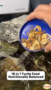 OULONG Turtle Pellets Turtle Food Tortoise Food Makanan Kura (500ML)乌龟饲料（READY STOCK)