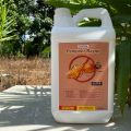 OBAT PEMBASMI SEMUA JENIS RAYAP KAYU | RAYAP TANAH | RAYAP BASAH 5 LITER | 100% AMPUH | Ramah Lingkungan. 