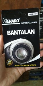 Bearing Bantalan Bering Laher Roda As Pully 6204 - 2RS Beat Scoopy Vario Fi Esp