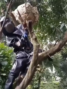 IIKKPP ชุดตีรังต่อ ชุดตีต่อ ชุดตีผึ้ง ชุดป้องกันตัวต่อ ชุดกันต่อต่อย ชุดกันผึ้งต่อย ชุดกันแมลง ผ้าพีวีซี (PVC) ชุดนิรภัย L/XL