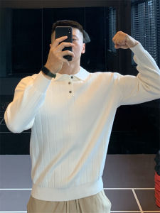 Áo Thun Nam Dài Tay Dệt Kim Cổ Polo Co Giãn Mùa Thu Đông Thường Ngày Thời Trang Công Sở Phong Cách Mỹ Cổ Điển