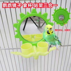 Double-Billed Bird Feeder with Mirror Stand for Small Birds like Parrots And Canaries Educational Feeder Pet Supplies