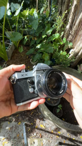 ASAHI PENTAX KX RICOH XR RIKENON 50MM.F2 L