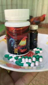 SUPER VIP 32 COMBO 3 lọ 60 VIÊN dành cho gà đá.tăng bo lớn cho gà nở khung .giúp gà lỏn lẻn nhát đá cự yếu.tăng nước máu.không nóng gà.