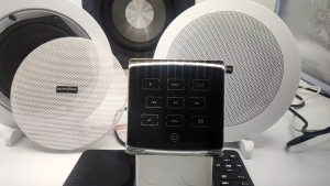 Smart Home Audio Bluetooth Mini-in Walamplifier Music Background Combo Controller with Passive 6.5 "Ceiling Mount Speaker for Indoor Bedroom