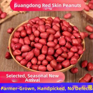 Fresh Small Red-skinned Peanuts