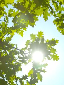 COD 5m/10m PE สูง5ซม ขอบกันเซ็นเซอร์ที่กั้นดิน 5m/10m ขอบกั้นดิน 5m/10m หรือที่กั้นดิน ที่กั้นดิน หรือที่กั้นขอบหิน - คลิกที่นี่