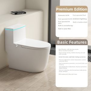 Intelligent Power-Off Flushable Pressure-Independent Toilet