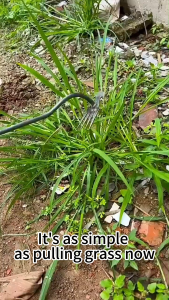 Weeding Uprooting Tool Welding Process 4/11 Tooth WeedingDigging and Rooting Gardening Tools