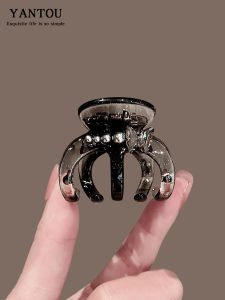 Delicate Mini Princess Hair Clip Diamond Encrusted Hair Claw Hairband Side Ponytail Holder Womens Fashion Acrylic Hair Accessories