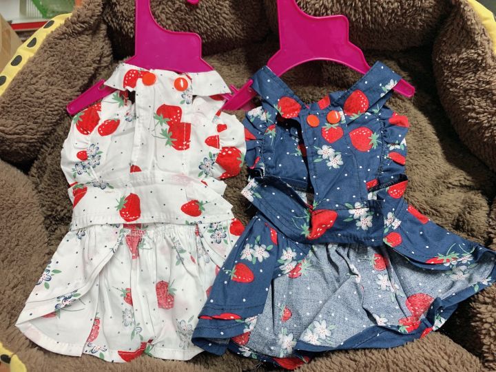 V%C3%A1y%20cho%20th%C3%BA%20c%C6%B0ng%20-%20V%C3%A1y%20d%C3%A2u%20t%C3%A2y%20si%C3%AAu%20y%C3%AAu%20si%C3%AAu%20%C4%91%E1%BA%B9p%20cho%20ch%C3%B3%20m%C3%A8o%20th%C3%BA%20c%C6%B0ng%20-%20Channsusu%20Pet%20Shop%20-%20Image%203