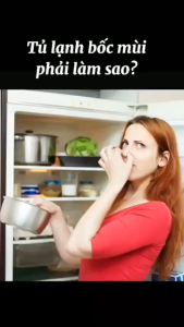 Miếng Dán Nano Airpurity MHG Cao Cấp – Khử Mùi Tủ Lạnh Kháng Khuẩn Giữ Thực Phẩm Tươi Ngon 2 Năm