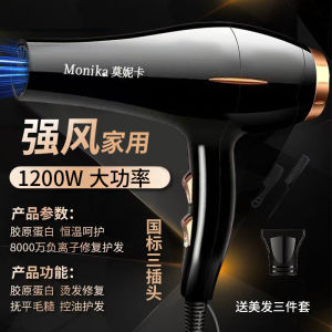 Bàn Phím Tóc Salon Công Suất Cao Dùng Tại Nhà Bàn Phím Tóc Chuyên Dụng Cho Tiệm Cắt Tóc ION Tiêu Cực Tóc Khô Nhanh Bảo Vệ Tóc Giọng Máy Im Lặng