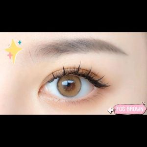 เคลื่อนที่สำคัญ คอนแทคเลนส์ขนาดมินิ 🌷คอนแทก, 14.0mm-14.5mm 🌸