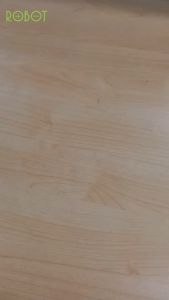 PowerBank Robot RT190 RT190S 10.000mAh Dual Input Type C & Micro With LED