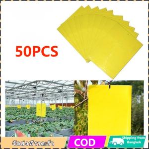 （จัดส่งที่รวดเร็ว）แผ่นกาวดักแมลง ขนาด 20x10cm. แพ็ค 50 แผ่น กำจัดแมลง เพลี้ย แมลงหวี่ แผ่นพลาสติกเคลือบกาวหนา คุณภาพดี ใช้งานได้นาน 50-200PCS