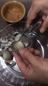 MONZA คีมแกะหอย ที่แกะหอยแครง คีมแกะหอยสแตนเลสอย่างดี No.Y189