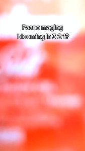 【MY Girl】Buy 1 Take 4 Bonita Himalayan Pink Salt Face & Body Oil With SPF30 Skin Toning Moisturizing Anti-Aging 100ML