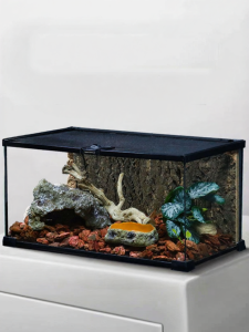 Tailwise | Eco-friendly Terrarium