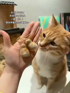 Transparent Pet Fur Storage Capsule Pendants Pet Hair Storage Box Keychain Dog Hair Collector Keychain for Pet Lovers DIY Dog Cat Hair Storage Pendant Car Keyring Decoration Car Keychain Pendant