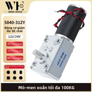 Con Sâu Gear Động Cơ DC 12V ~ 24V Mô Men Xoắn Cao 100Kg.CM Đảo Chiều Tự Khóa Hộp Số Cho Thiết Bị Gia Dụng Xe Đạp Điện Quạt Thuyền