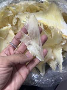 [loại 1] vi  cao cấp nấu súp nguyên cánh(100g)