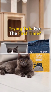 EZPET Premium Tofu Cat Litter 2kg Pasir Kucing Tofu Kucing Toufu Pasir Kucing Litter Kucing Tofu Litter Cat Litter Tofu Cat Cat Sand Tofu Cat Sand Pasir Kucing Murah Bentonite Litter Box Toilet Kucing 2kg 豆腐猫砂 猫砂