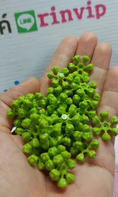 ใจรัก จุกรัก แกนจุกรัก ทำจากพลาสติก สีเขียว 100 วง 95 บ.