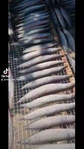 Đặc sản Khô Cá Chạch loại thượng hạng chất lượng -ĐẶC SẢN MINH TRIẾT