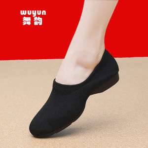 Low Heel Dance Shoes Soft Bottom Practice Shoes for Women Square Dancing Shoes Teacher Dancing Shoes Classical National Dance Shoes
