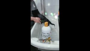 PETSMILE แชมพูผสมครีมนวดสูตรข้าวเหนียวทุเรียนสำหรับสุนัขแพ้ง่าย 500 ml.