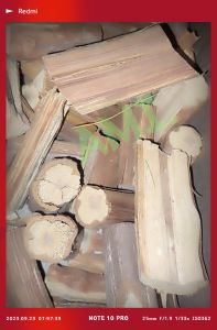 kayu Bajakah Stamina Original asli dari Kalimantan Borneo Bersanat Hingga Pencarinya di Hutan Kalimantan