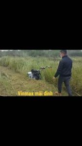 Máy cắt cỏ trục băm giá rẻ tại Buôn Mê Thuật