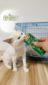 [สินค้าใหม่] อาหารเปียกแมว  แบบซอง 50 กรัม  โภชนาการครบถ้วนและสมดุลสำหรับแมวทุกวัย