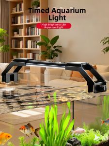 HUICHONG | Waterproof Timed Fish Tank Lighting Enhancement