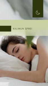 Balmut Bantal Selimut 2 in 1 & Sarung Kasur Busa Resleting