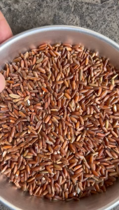 Beras Merah Sub-Medium 1kg