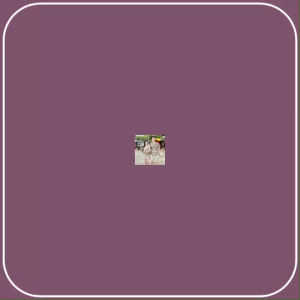 TW22455 set คู่รัก 3 ชิ้น ลายช้าง เสื้อเชิ้ต+ เสื้อสายสม็อก กับยางมัดผม ..