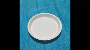 (Murah Meriah) Alas atau Tatakan Pot Tanaman Diameter 22 cm