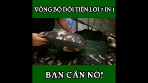 Võng mùng chần gòn chống muỗi và giữ ấm (Thái)