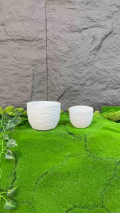 Bộ 05 hoặc 10 chậu sóng tròn nhí 10x8cm  trồng sen đá bonsai mini nhựa dày đẹp màu trắng