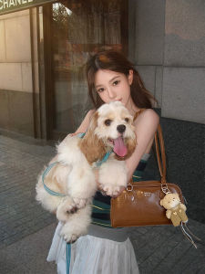 Unique Brown Bowling Underarm Bag Womens New 2025 Commuter Handbag Luxury Minimal Design Soft Carrying Junior High Length Handbags