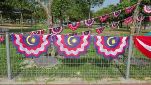 Independence Flags/National Day Decorations/Classroom Independence Decorations/Indoor and Outdoor Independence Decorations