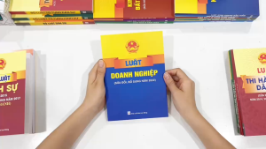 Sách - Luật doanh nghiệp Sửa đổi bổ sung năm 2022 - ND