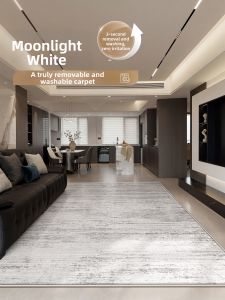 ZHUOYI | Washable Carpet Minimalist Luxurious Water Resistant Stainproof Soundproof